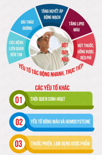 Tai biến mạch máu não ở người già: Nguyên nhân, dấu hiệu, cách phòng ngừa